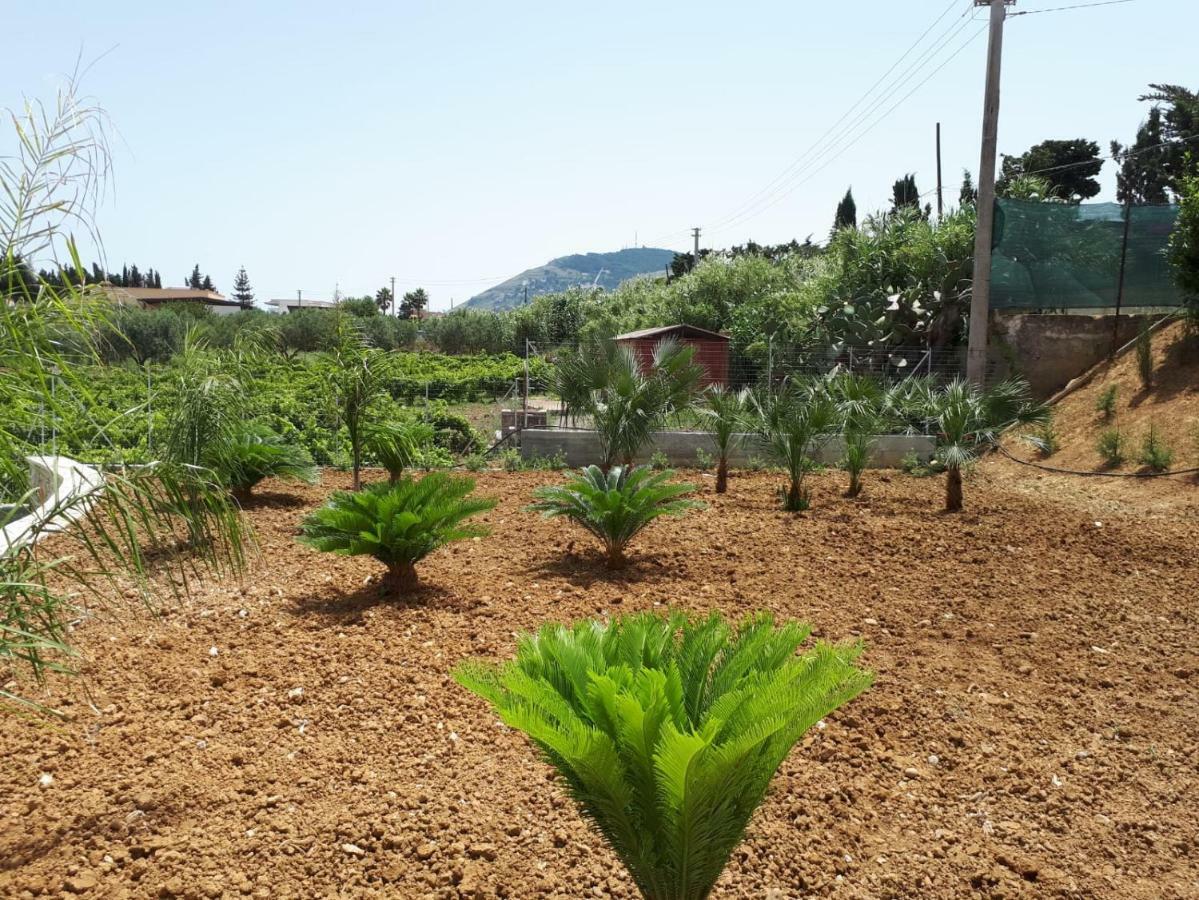 Villa Verde Alcamo Eksteriør billede